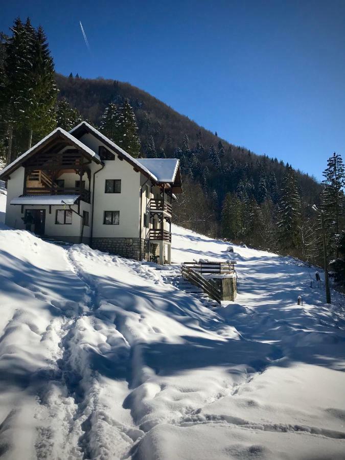 Cabana Caprioara - Piatra Craiului Dîmbovicioara Εξωτερικό φωτογραφία